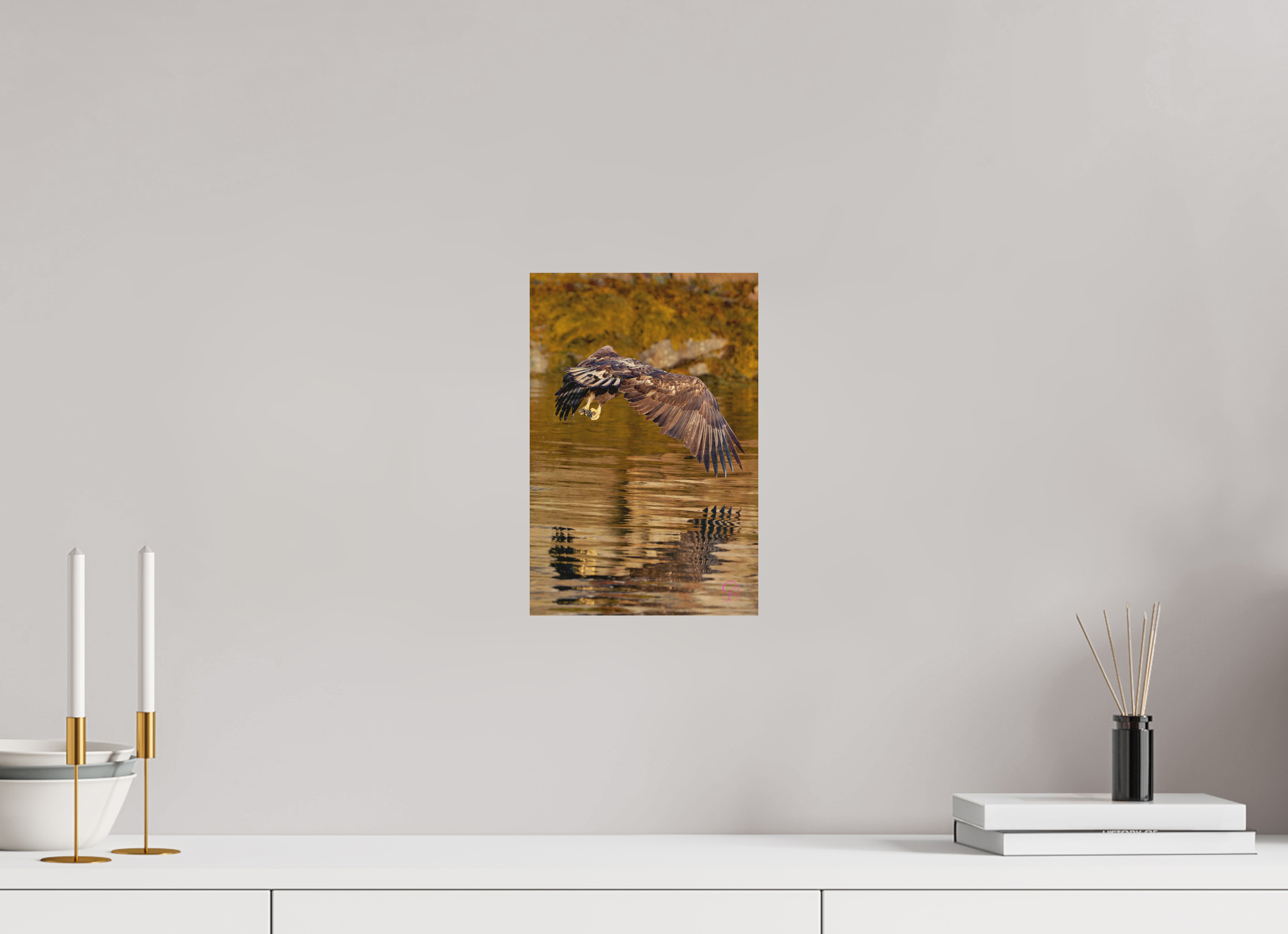 20 x 30 cm, Druck auf Holz Sea Eagle 4