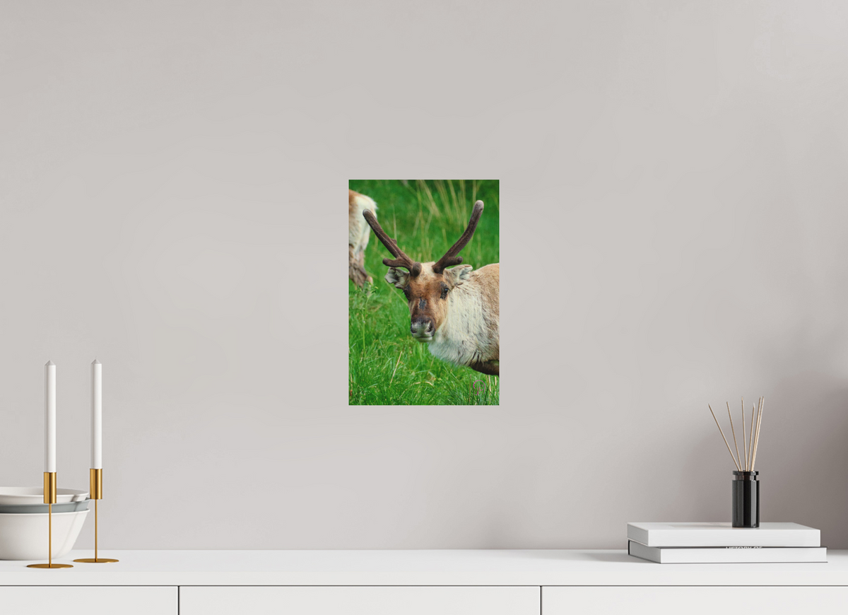 20 x 30 cm, Druck auf Holz Reindeer 3