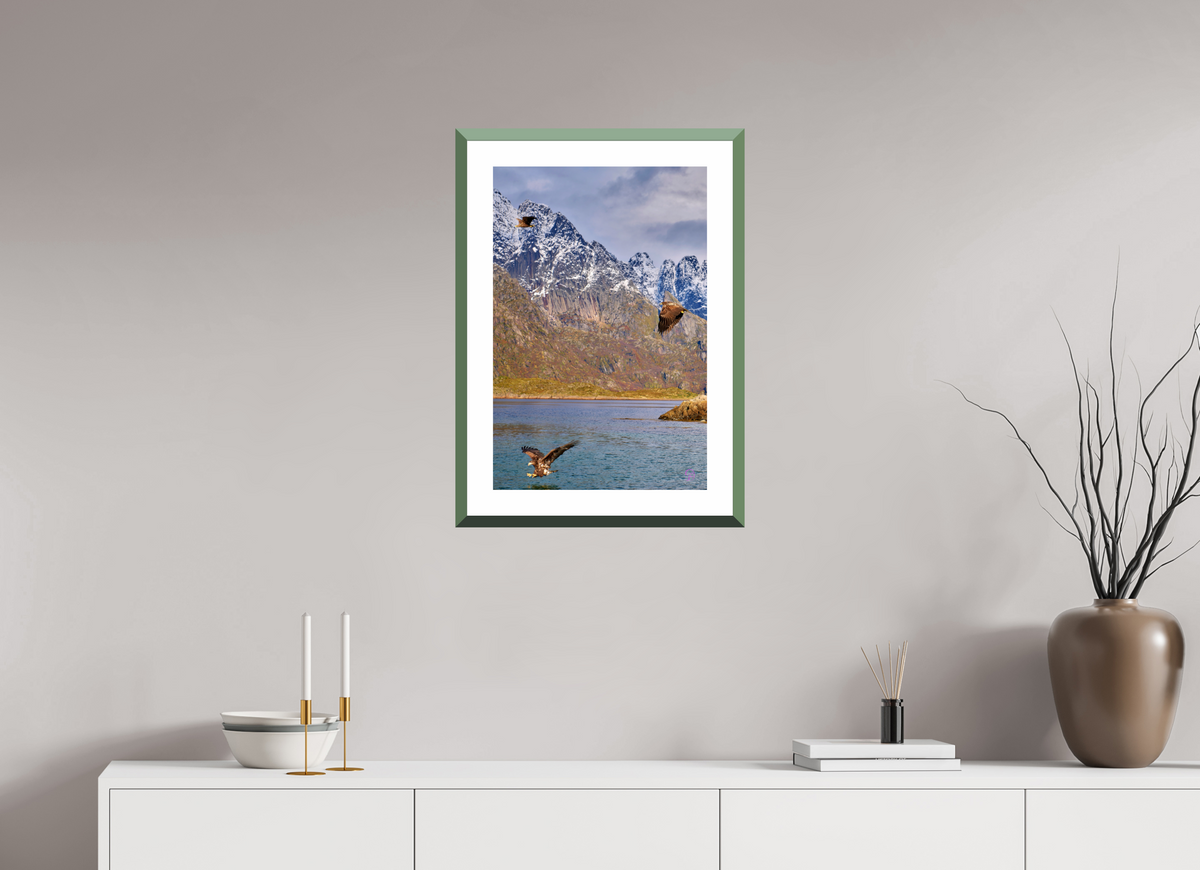 40 x 60 cm, Alu dibond, Rahmen grün, 5cm weissrand Sea Eagle 5