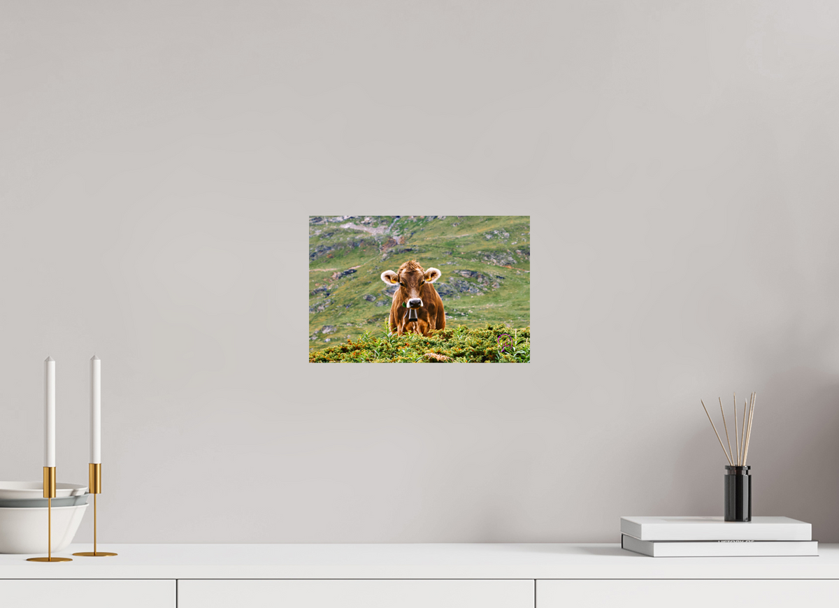 30 x 20 cm, Photo Print On Fuji Crystal DP II Diavolezza 3