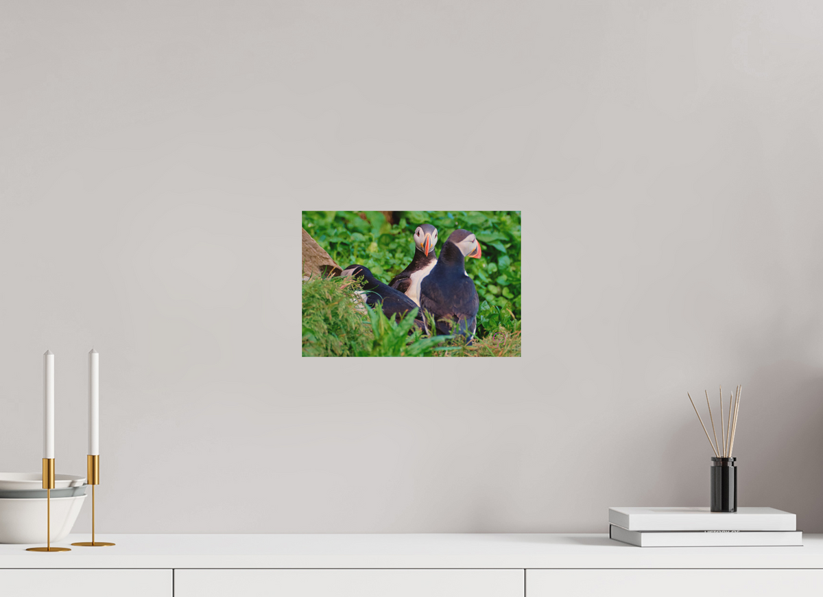 30 x 20 cm, Druck auf Holz Puffin 4