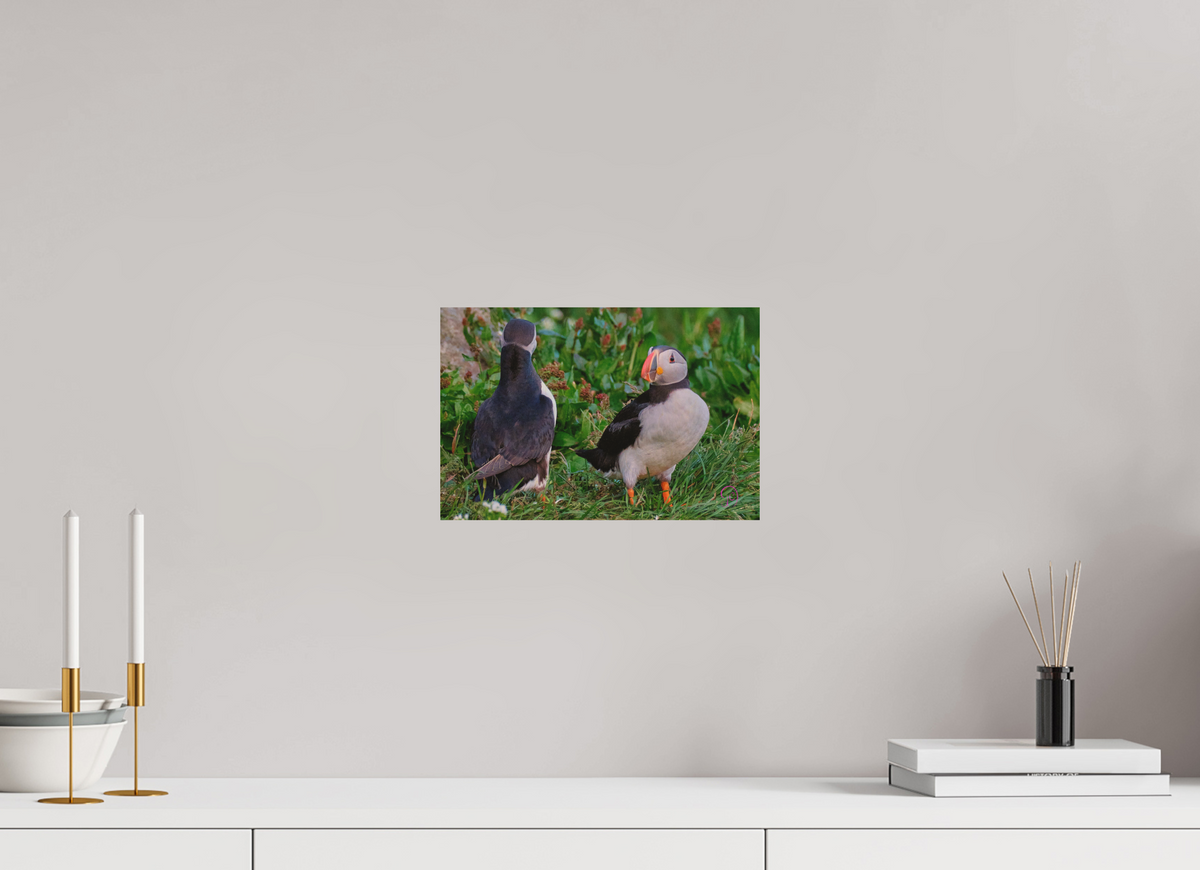 30 x 20 cm, Druck auf Holz Puffin 2