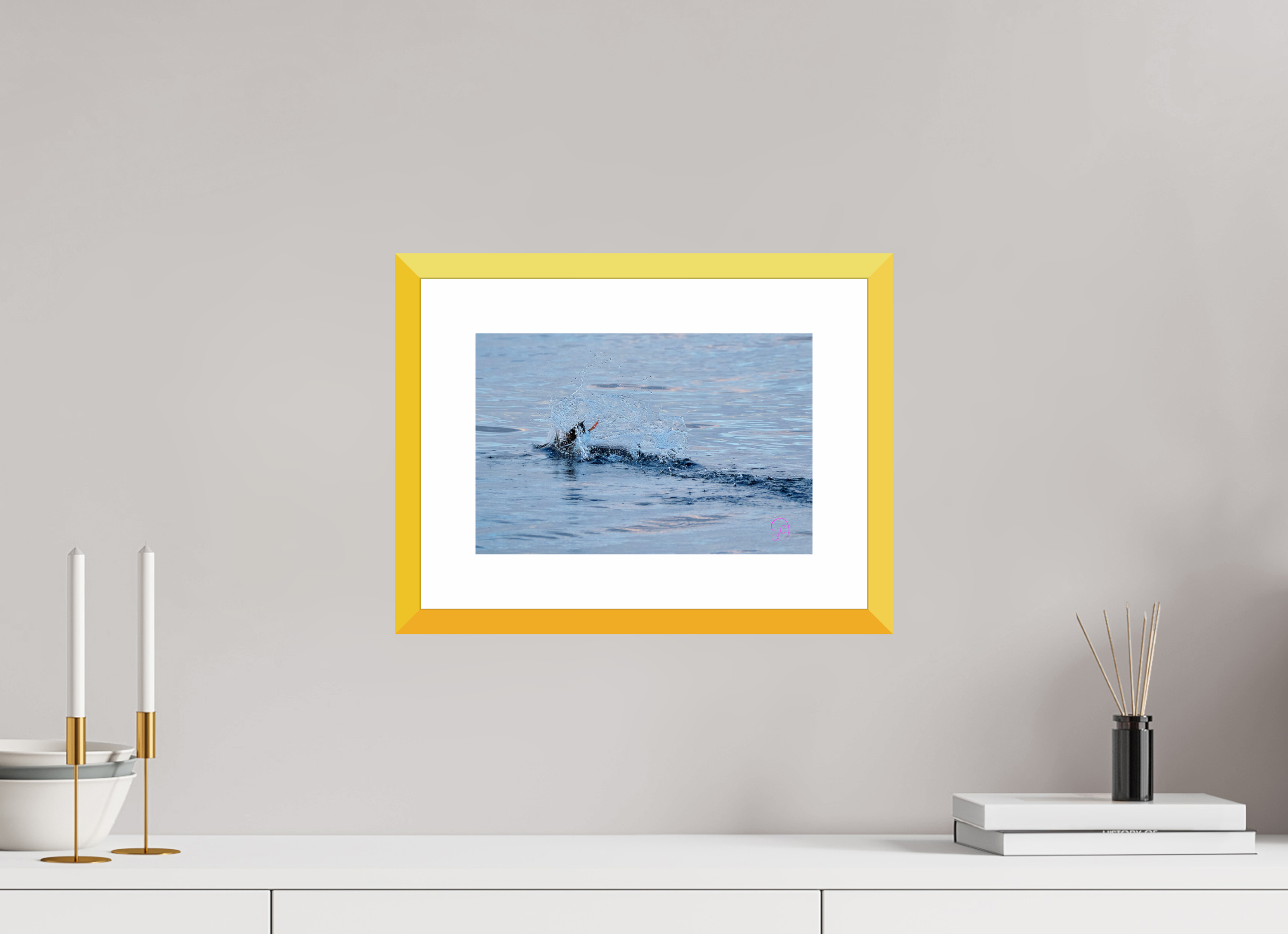 30 x 20 cm, Fine Art alu dibond, Rahmen gelb, 5cm weissrand Puffins 11