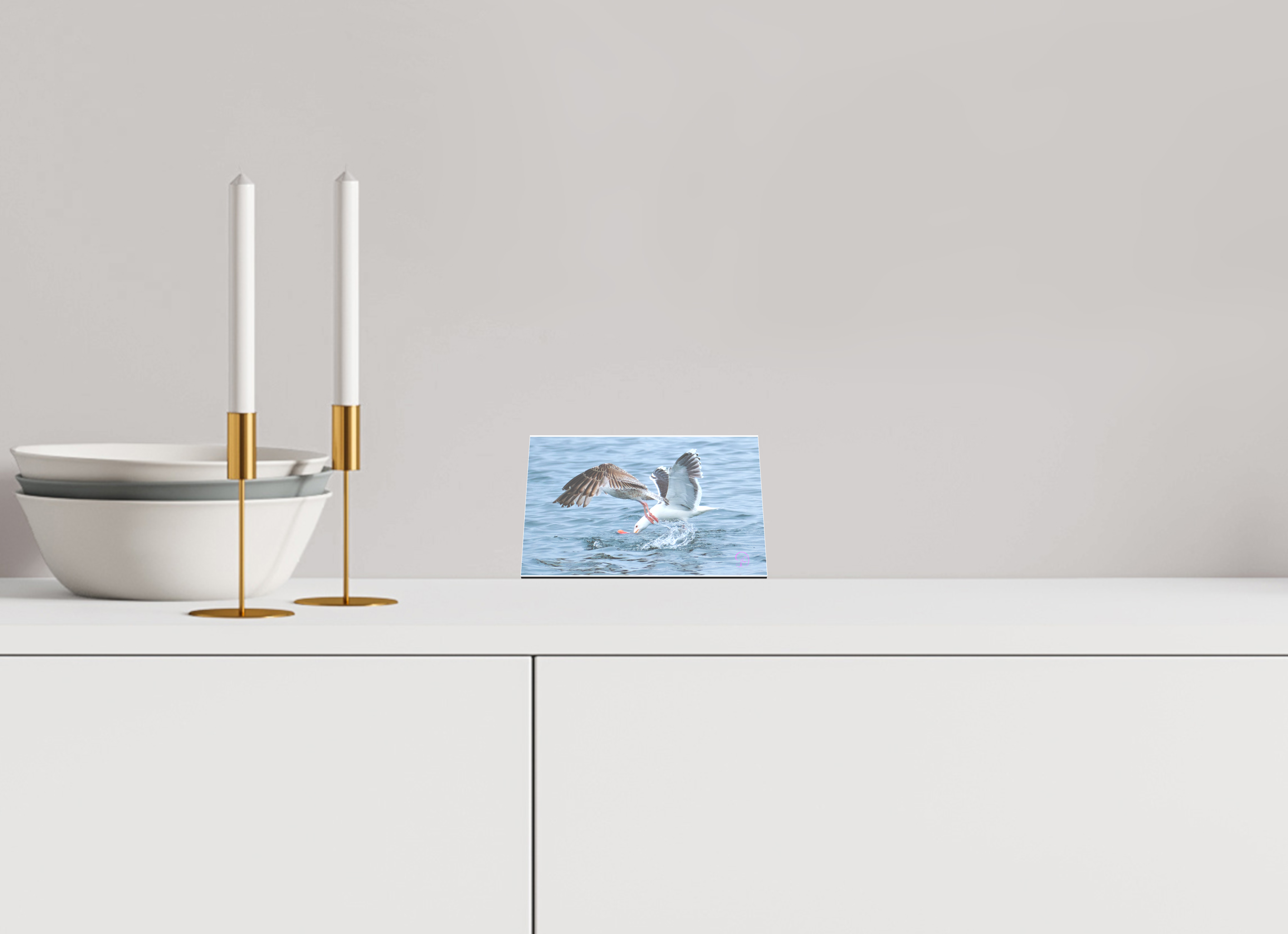 15 x 10 cm, Acrylglas Aufsteller kleines Format Seagull
