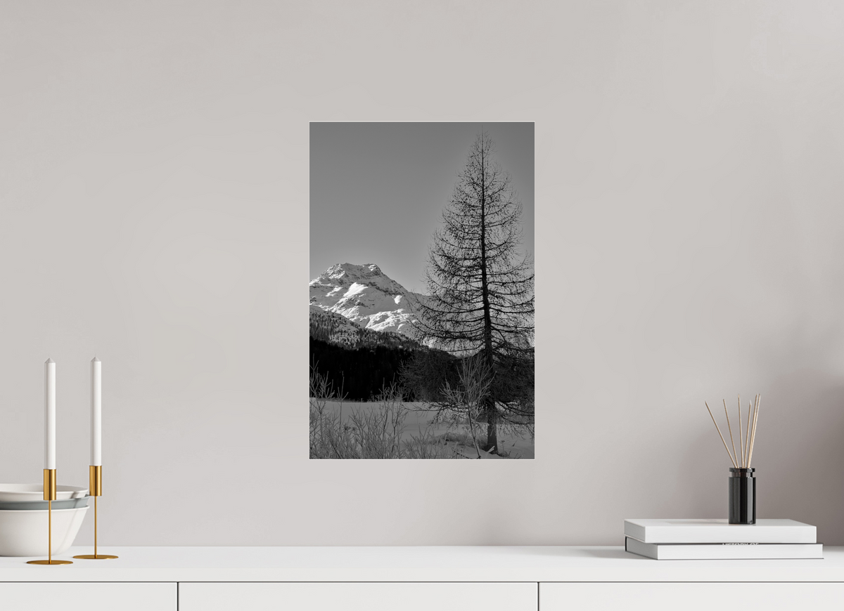 30 x 45 cm, Photo Print Under Acrylic Glass Sils 9