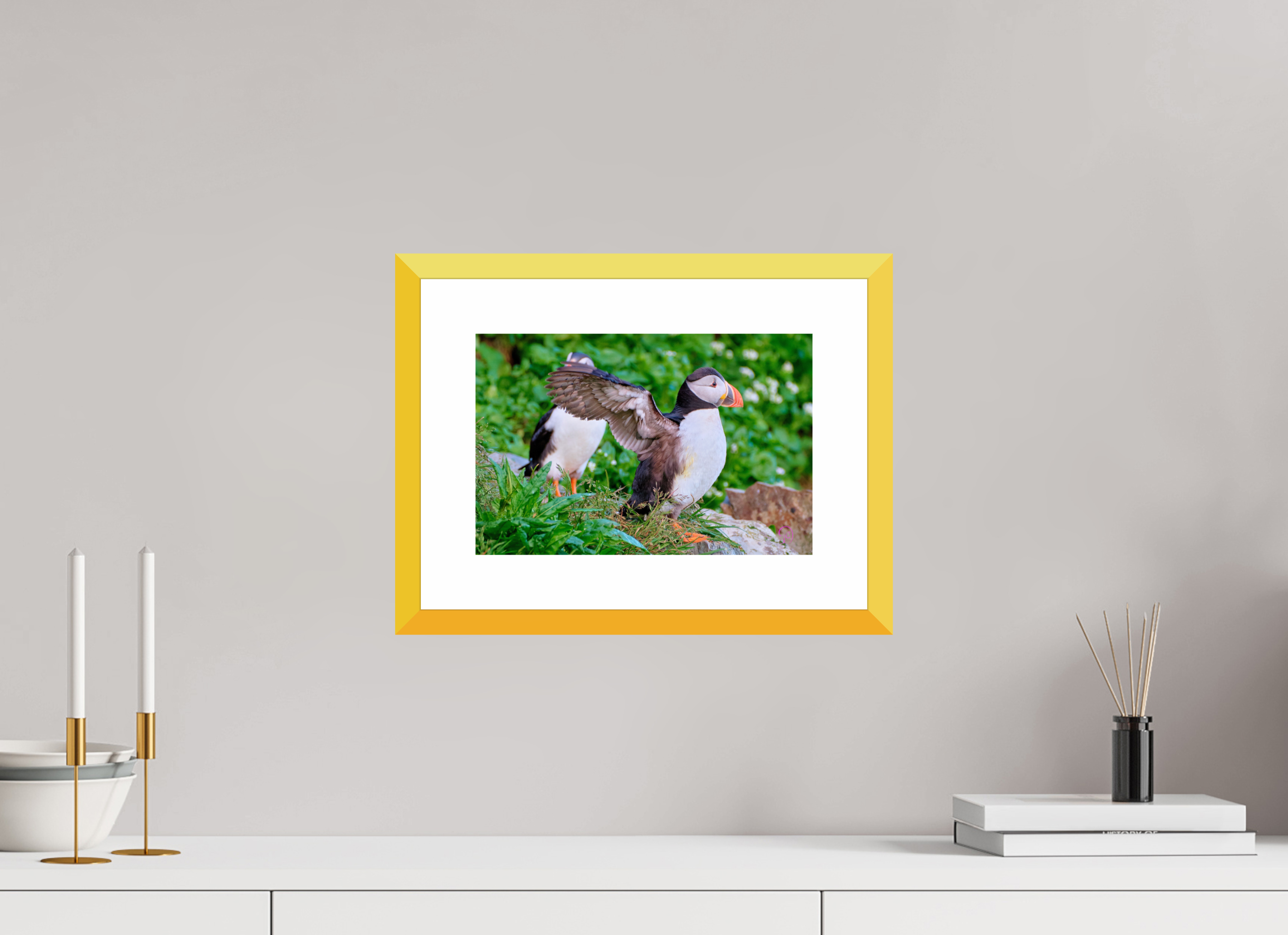 30 x 20 cm, Fine Art alu dibond, Rahmen gelb, 5cm weissrand Puffin 6