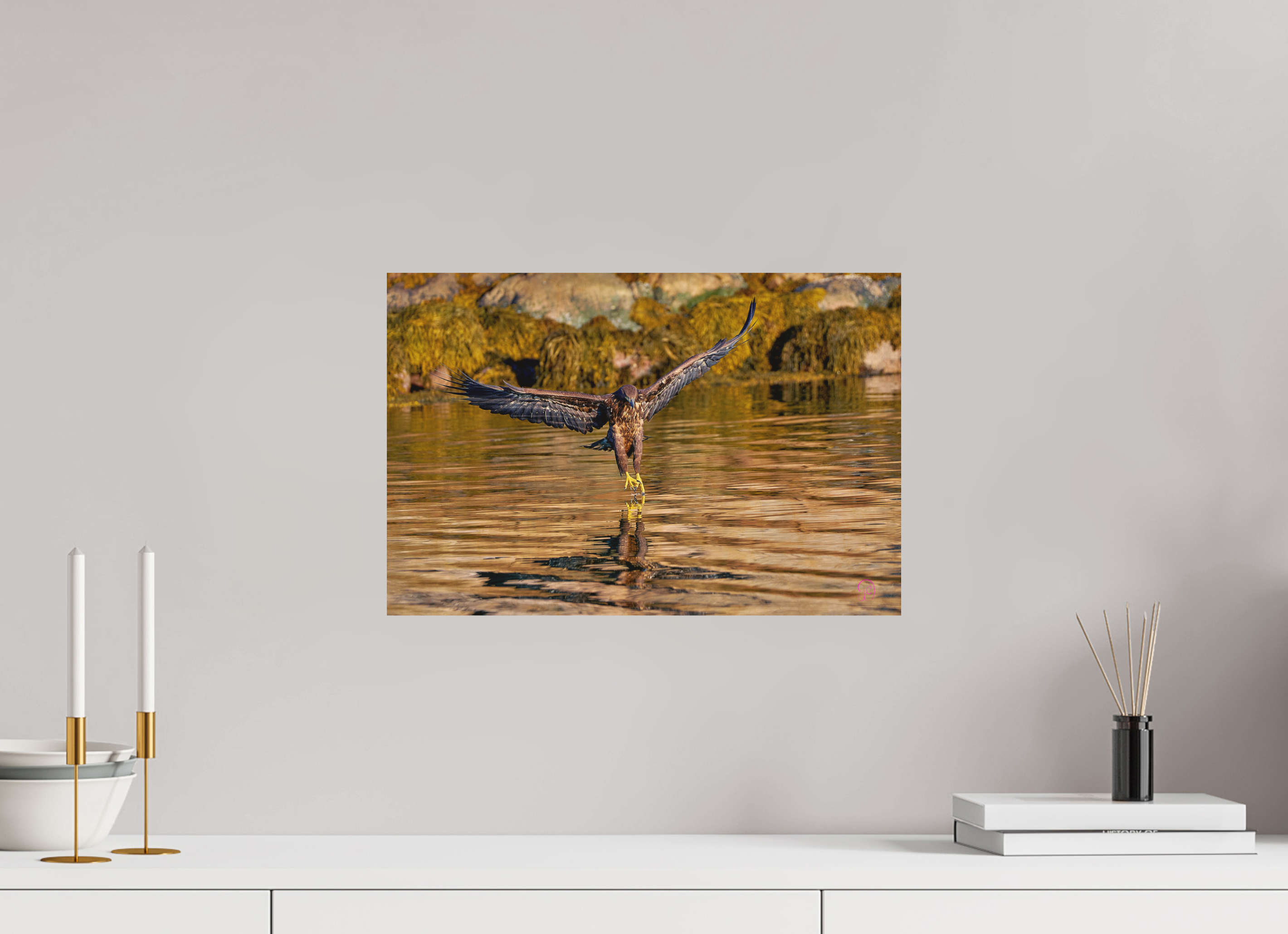 45 x 30 cm, Druck auf Holz Sea Eagle 2