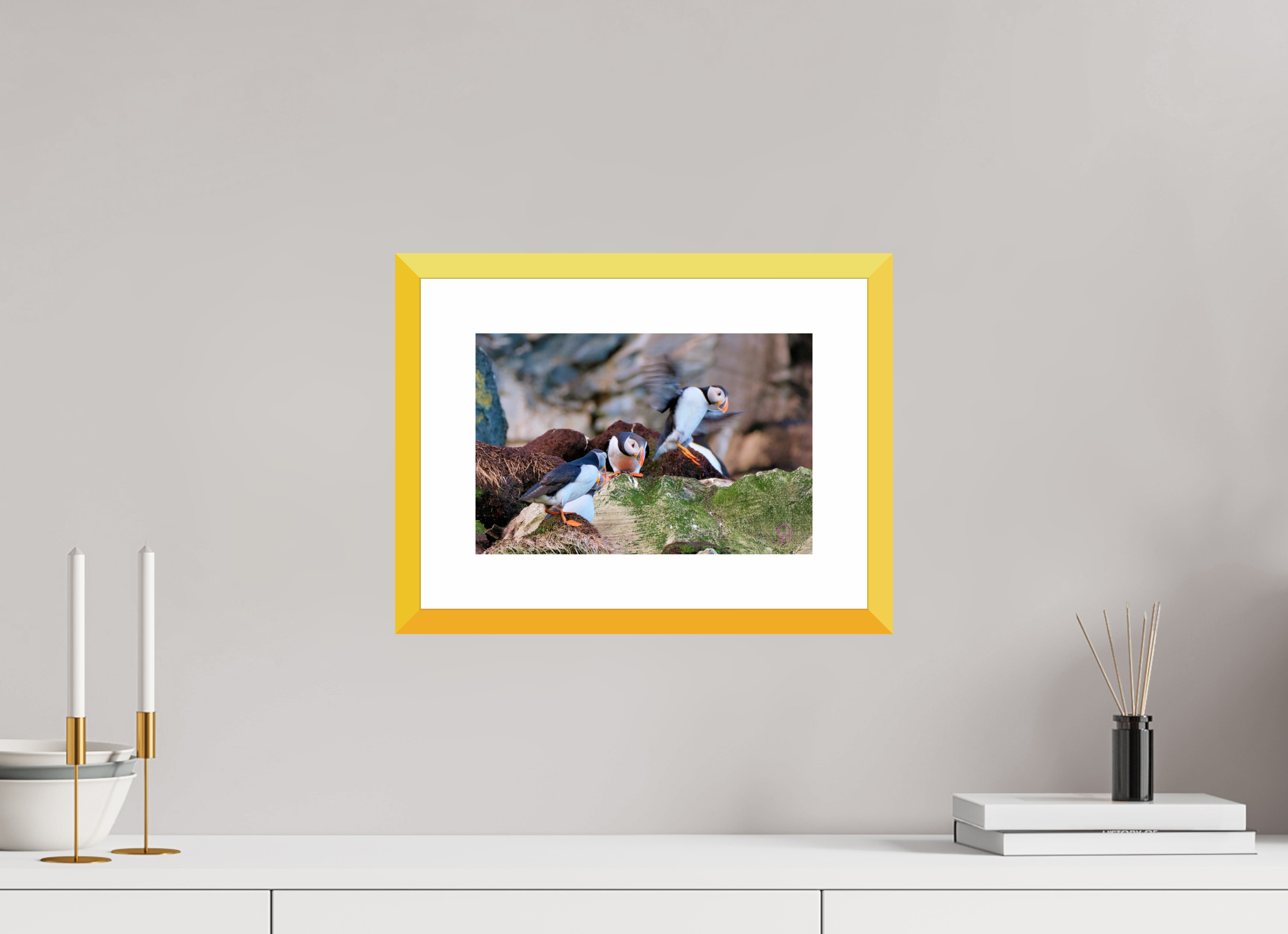 30 x 20 cm, Fine Art alu dibond, Rahmen gelb, 5cm weissrand Puffin 5
