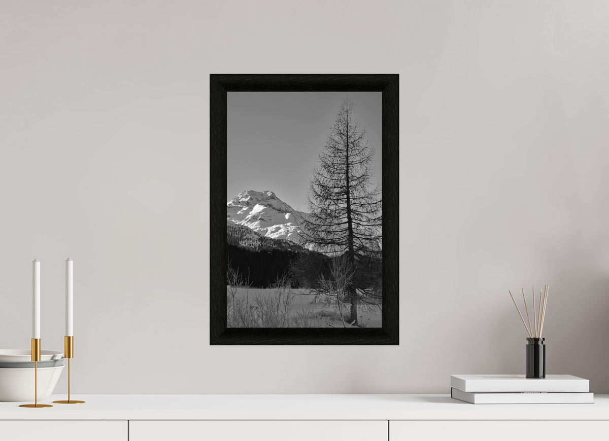 30 x 45 cm, BW Ebenholzrahmen schwarz Sils 9