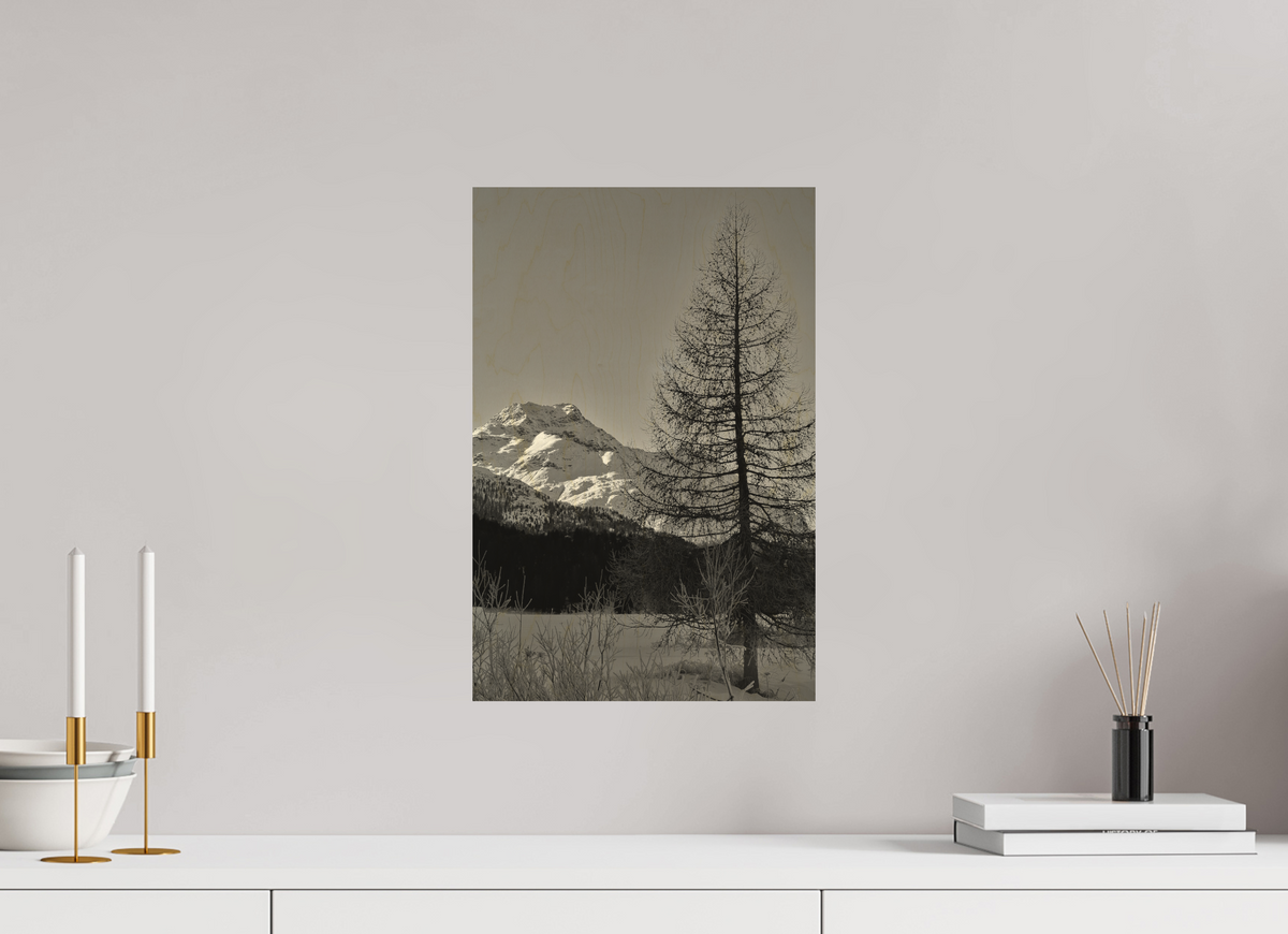 30 x 45 cm, Druck auf Holz Sils 9