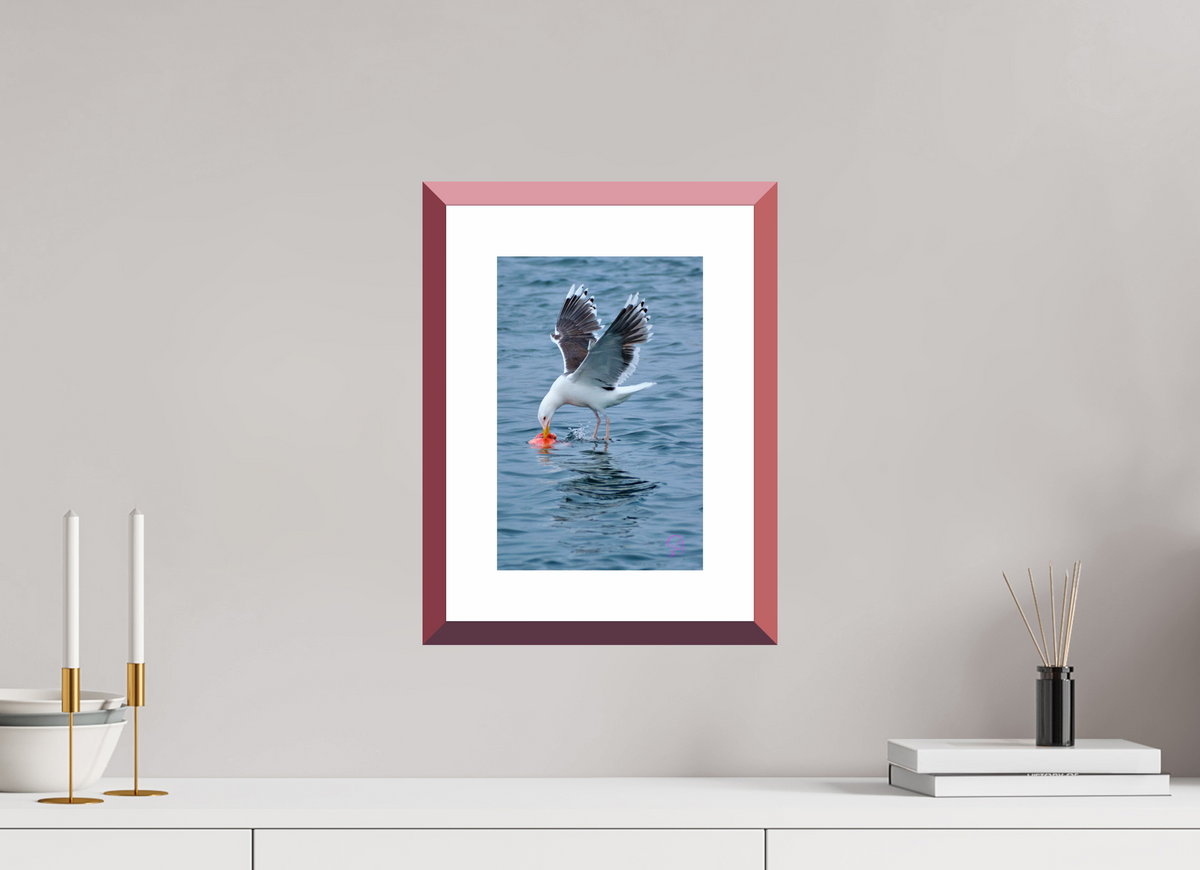 20 x 30 cm, Alu Dibond, Rahmen Rot, 5cm Weissrand Seagull 2