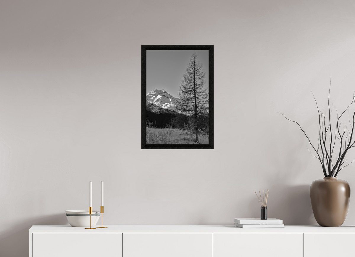40 x 60 cm, BW Ebenholzrahmen schwarz Sils 9