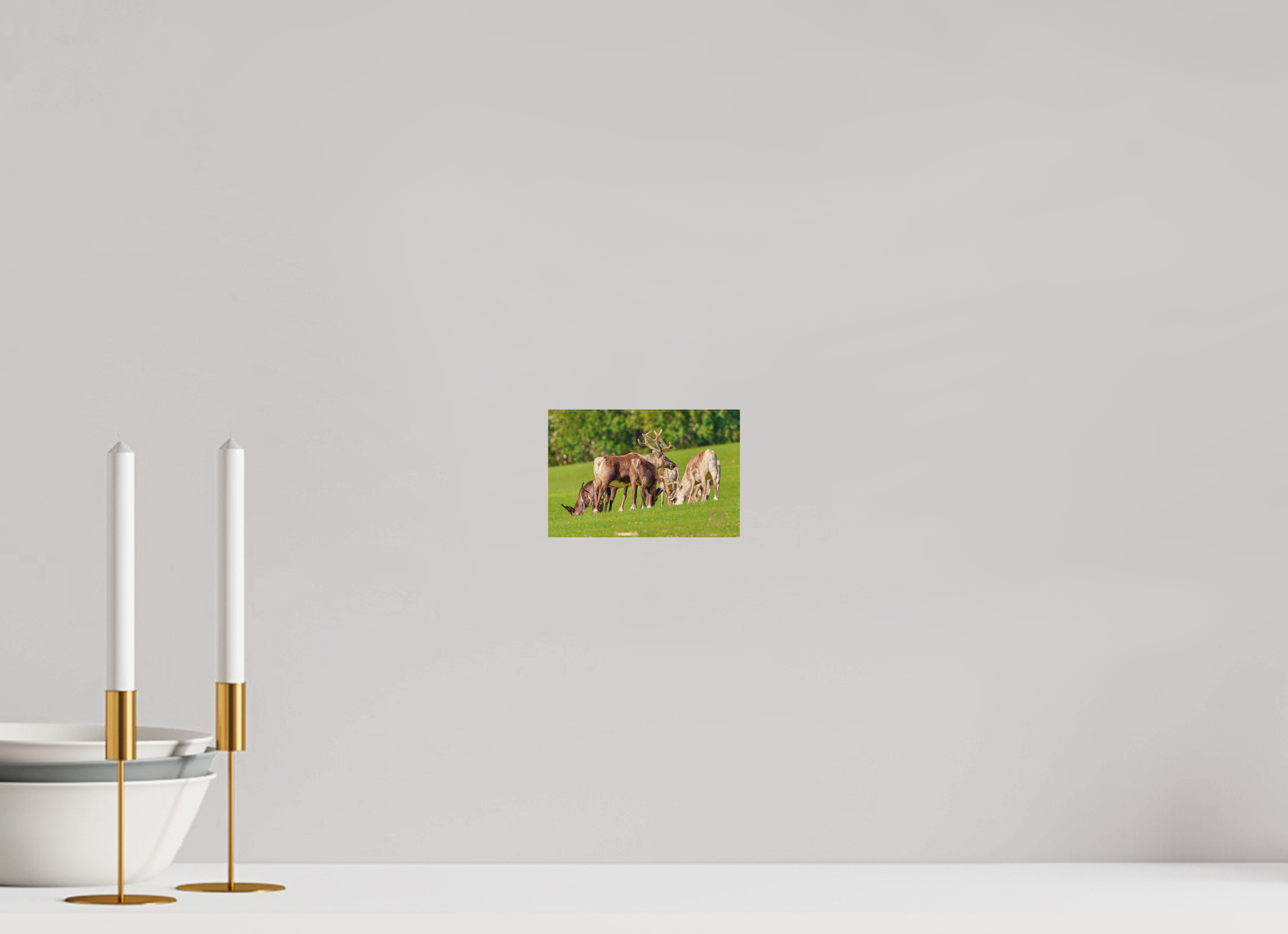 15 x 10 cm, Druck auf Holz Reindeer 2