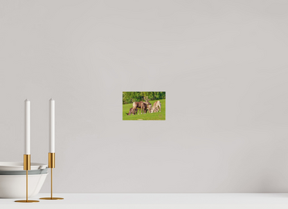 15 x 10 cm, Druck auf Holz Reindeer 2