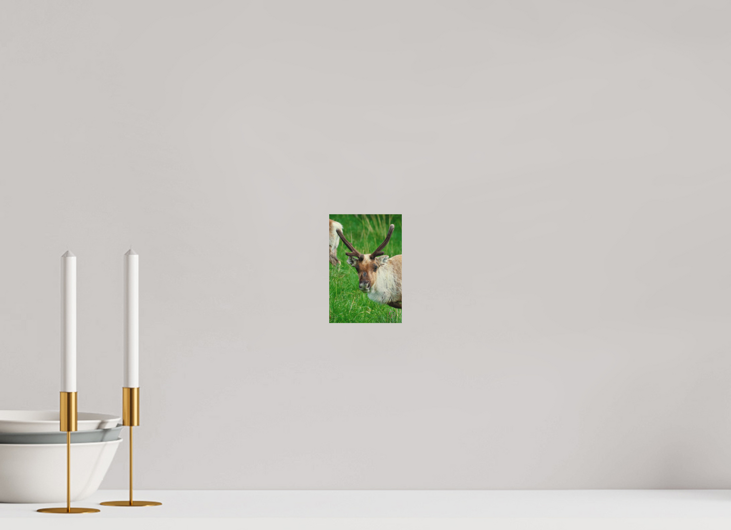 10 x 15 cm, Druck auf Holz Reindeer 3