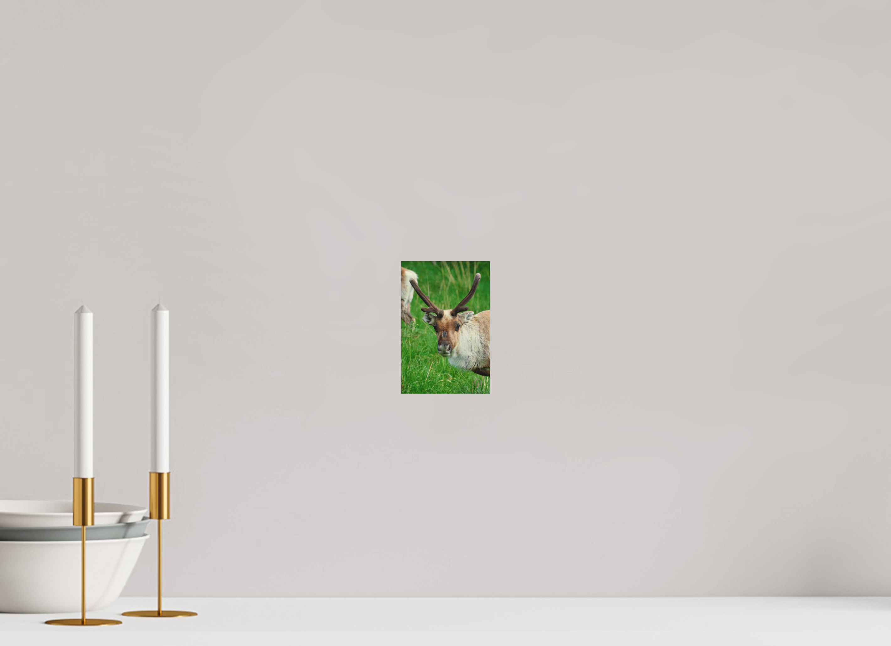 10 x 15 cm, Druck auf Holz Reindeer 3