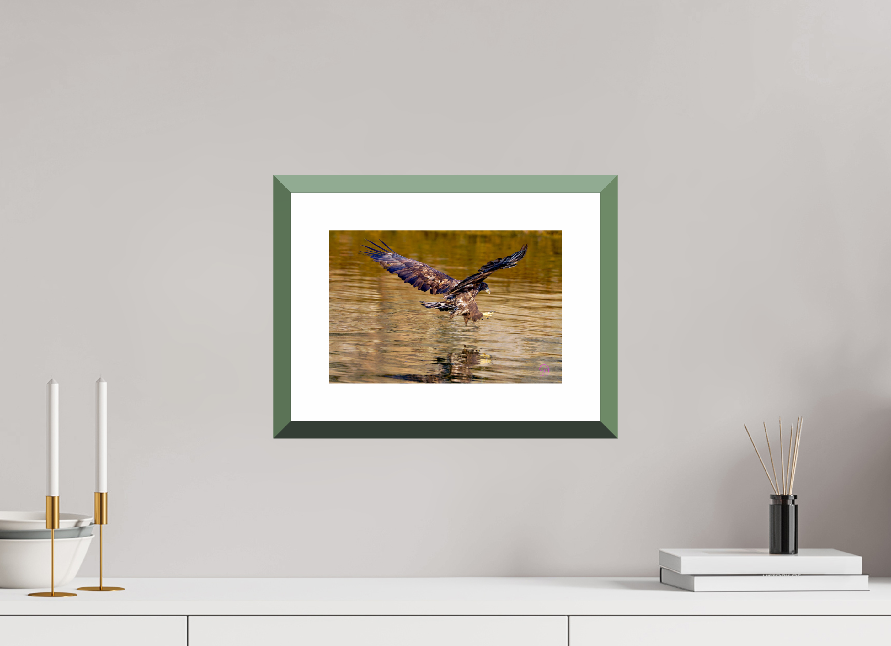 30 x 20 cm, Alu dibond, Rahmen grün, 5cm weissrand Sea Eagle 3