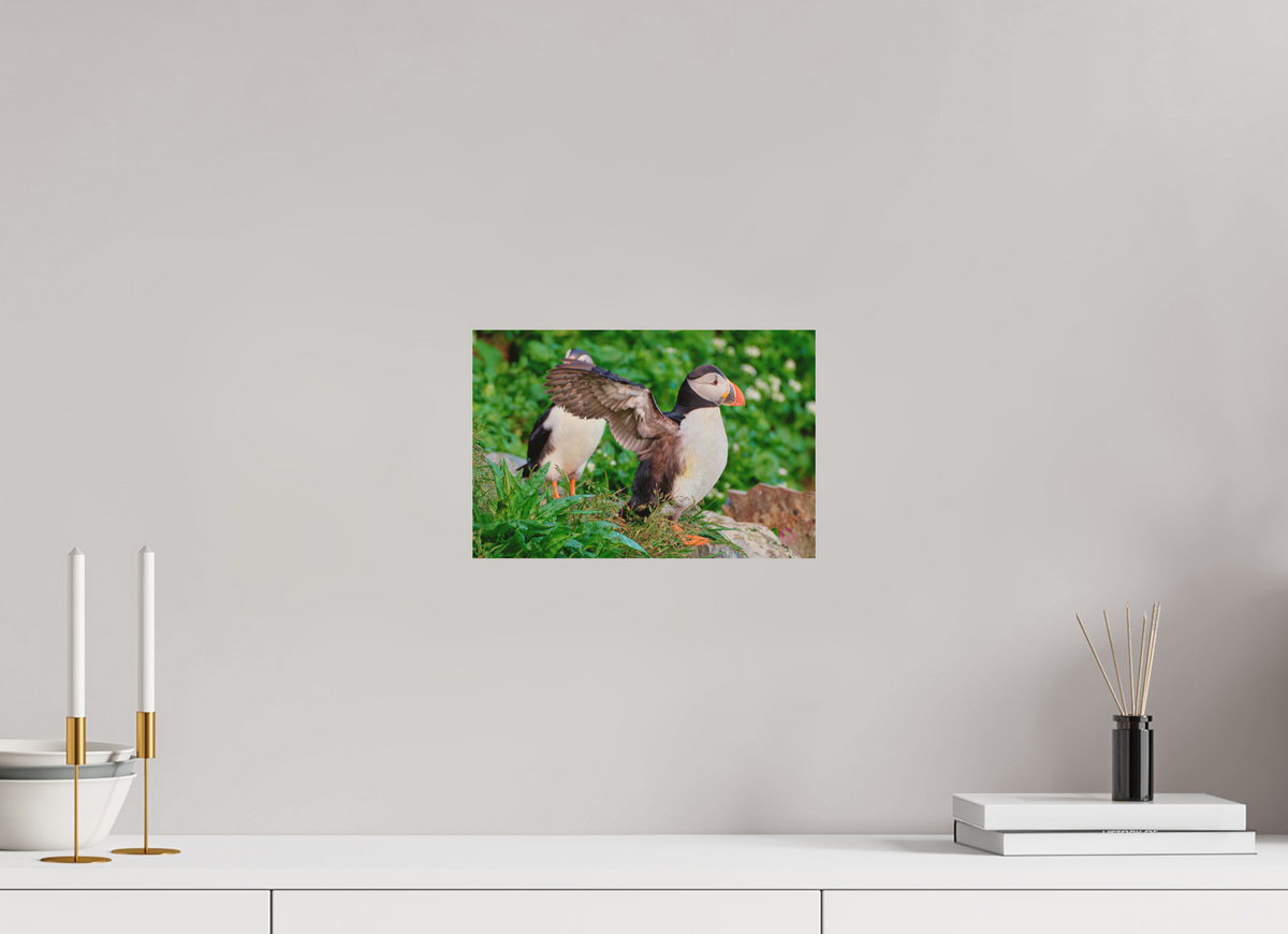 30 x 20 cm, Druck auf Holz Puffin 6