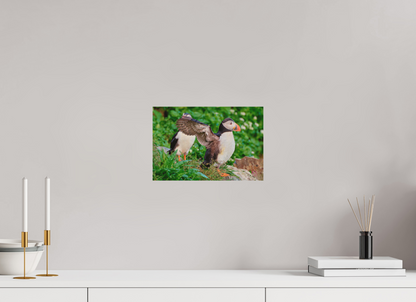30 x 20 cm, Druck auf Holz Puffin 6