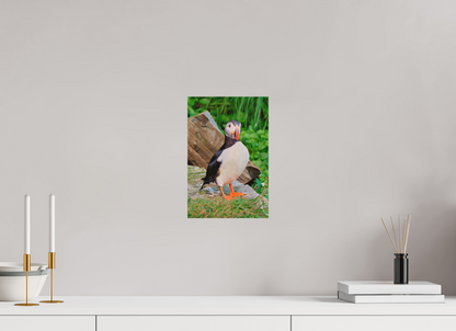 20 x 30 cm, Druck auf Holz Puffin 7