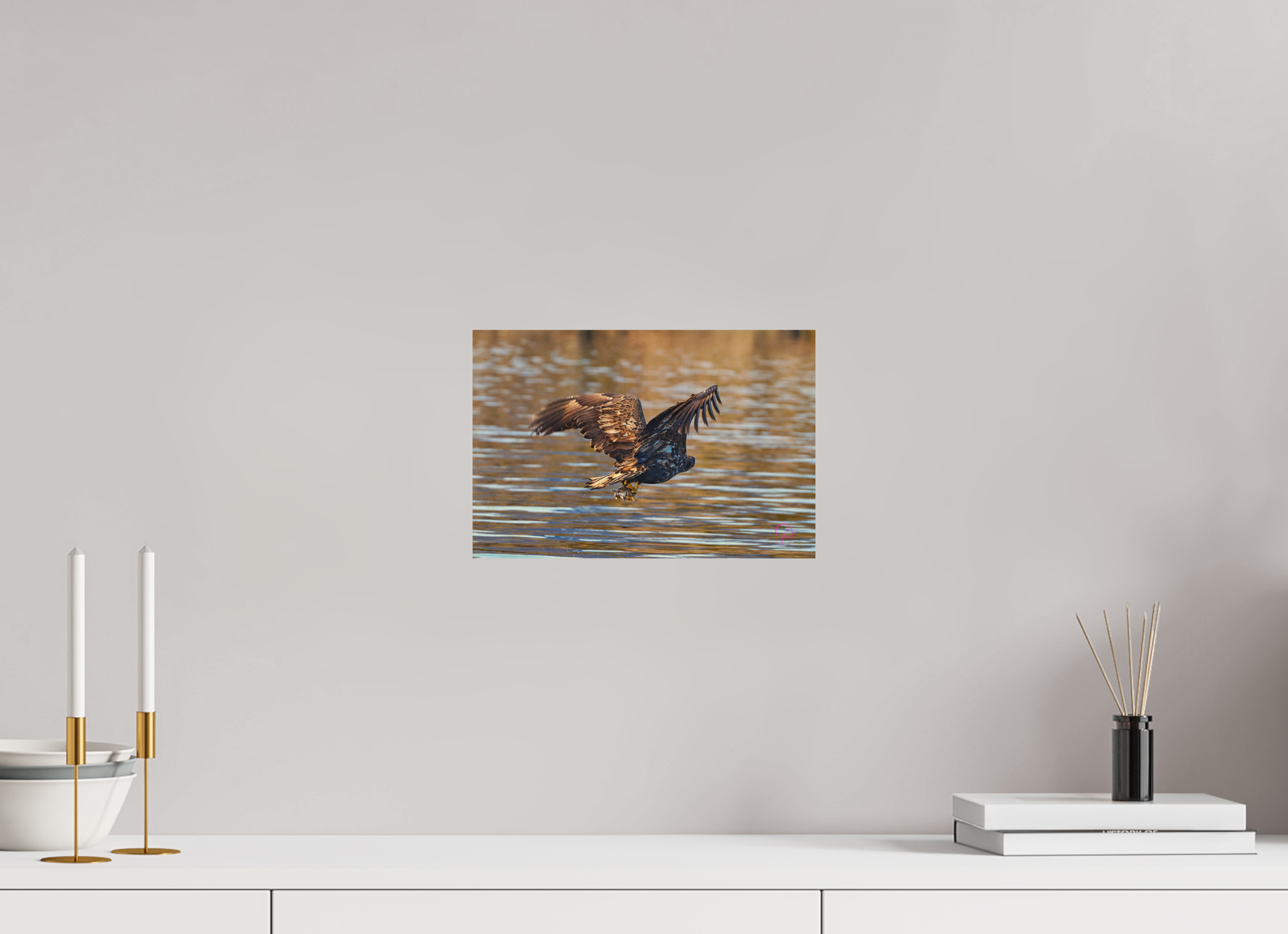 30 x 20 cm, Druck auf Holz Sea Eagle 1