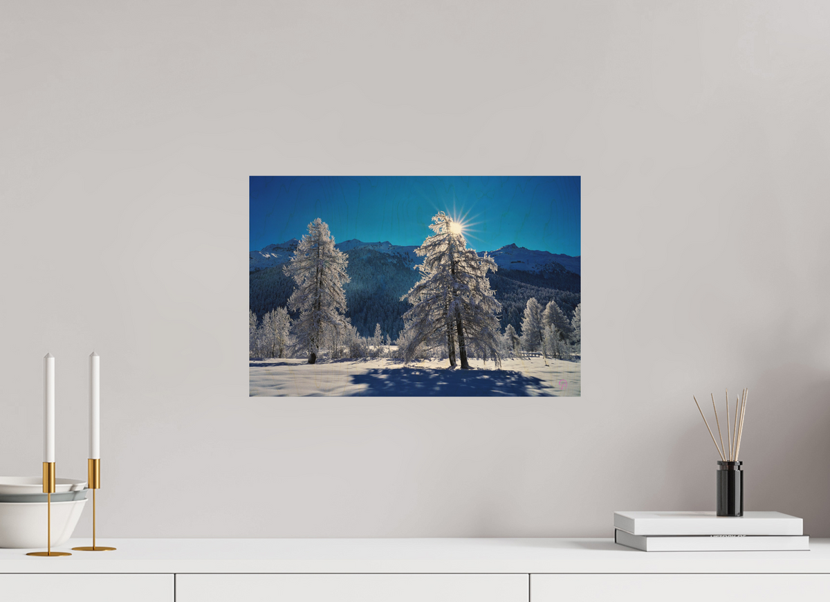 45 x 30 cm, Druck auf Holz Sils 32