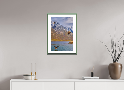 40 x 60 cm, Alu dibond, Rahmen grün, 5cm weissrand Sea Eagle 5