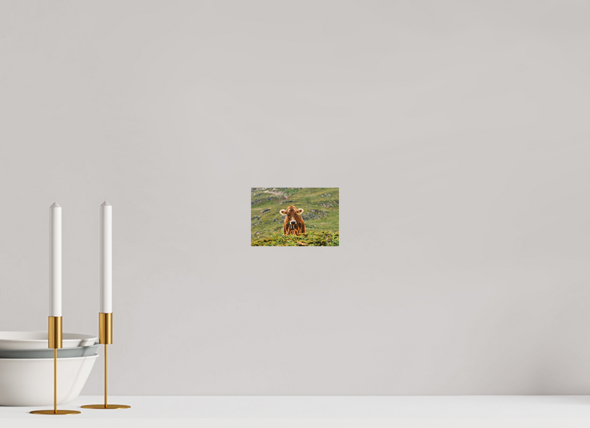 15 x 10 cm, Druck auf Holz Diavolezza 3