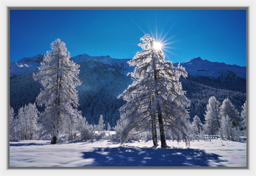 Main image Sils 32