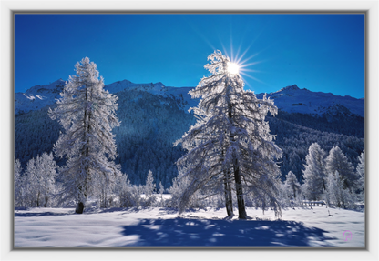 Main image Sils 32