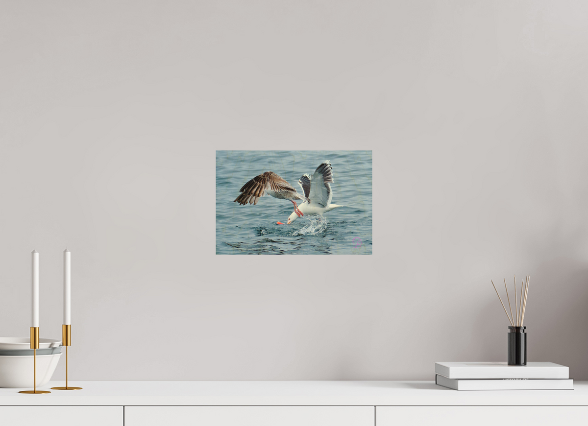 30 x 20 cm, Druck auf Holz Seagull