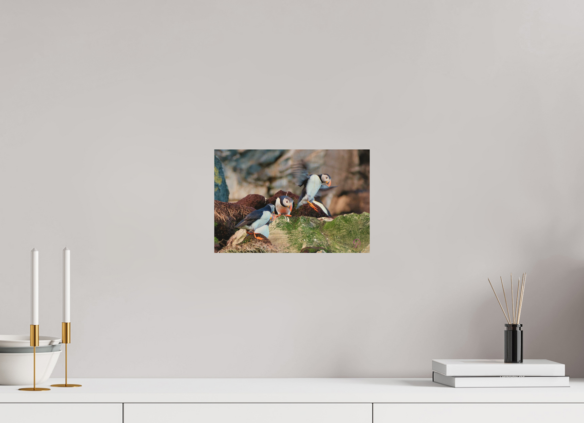 30 x 20 cm, Druck auf Holz Puffin 5