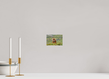 15 x 10 cm, Photo Print On Fuji Crystal DP II Diavolezza 3