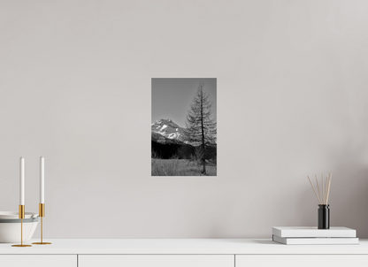 20 x 30 cm, Photo Print Under Acrylic Glass Sils 9