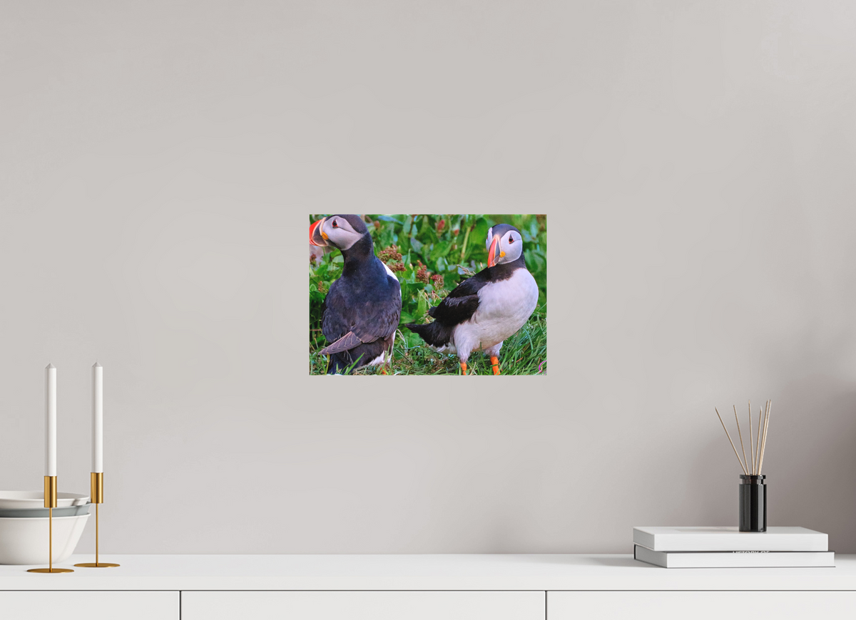 30 x 20 cm, Leinwand Textil Puffins 1