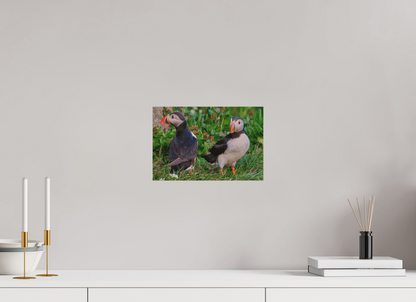 30 x 20 cm, Druck auf Holz Puffins 1