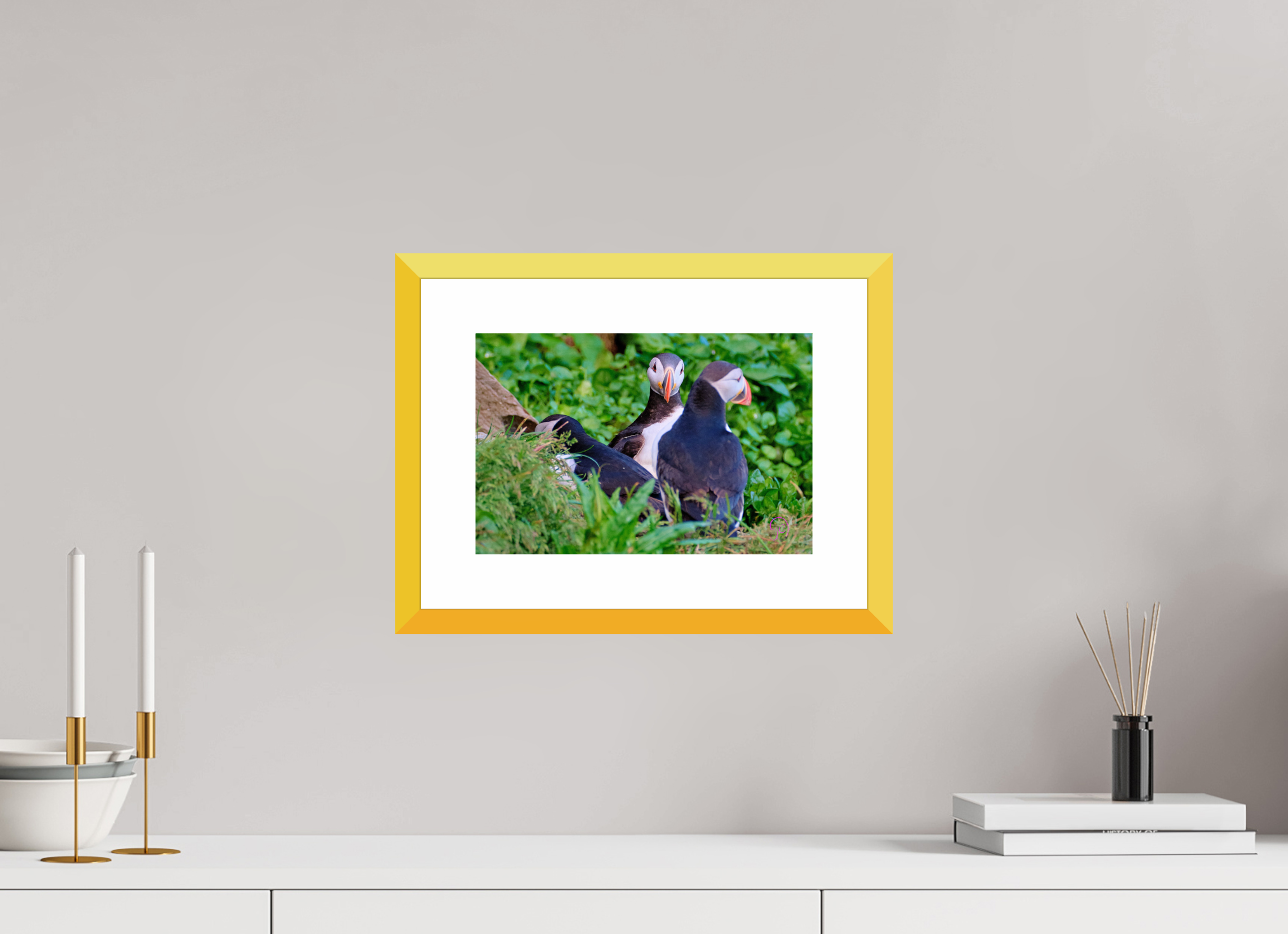 30 x 20 cm, Fine Art alu dibond, Rahmen gelb, 5cm weissrand Puffin 4