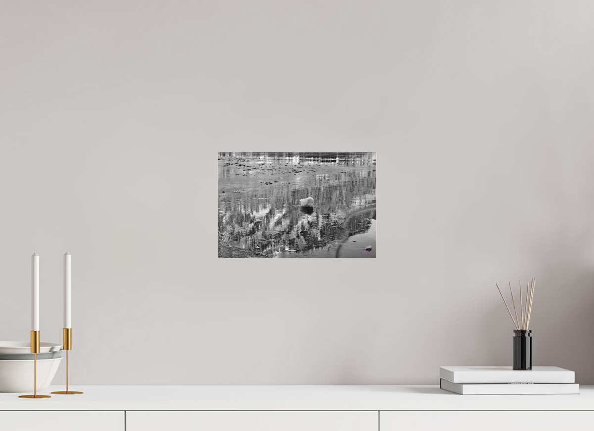 30 x 20 cm, Photo Print Under Acrylic Glass Sils 5