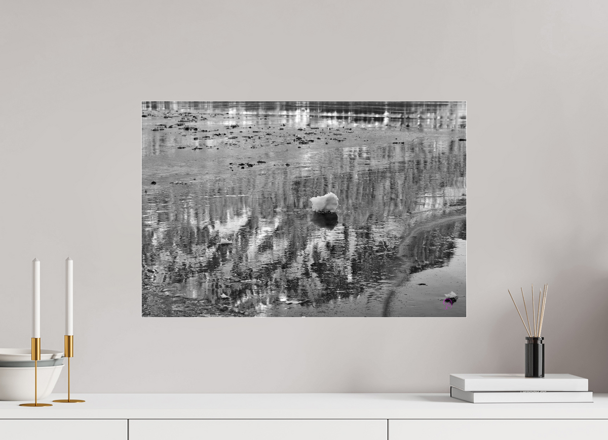 60 x 40 cm, Photo Print Under Acrylic Glass Sils 5