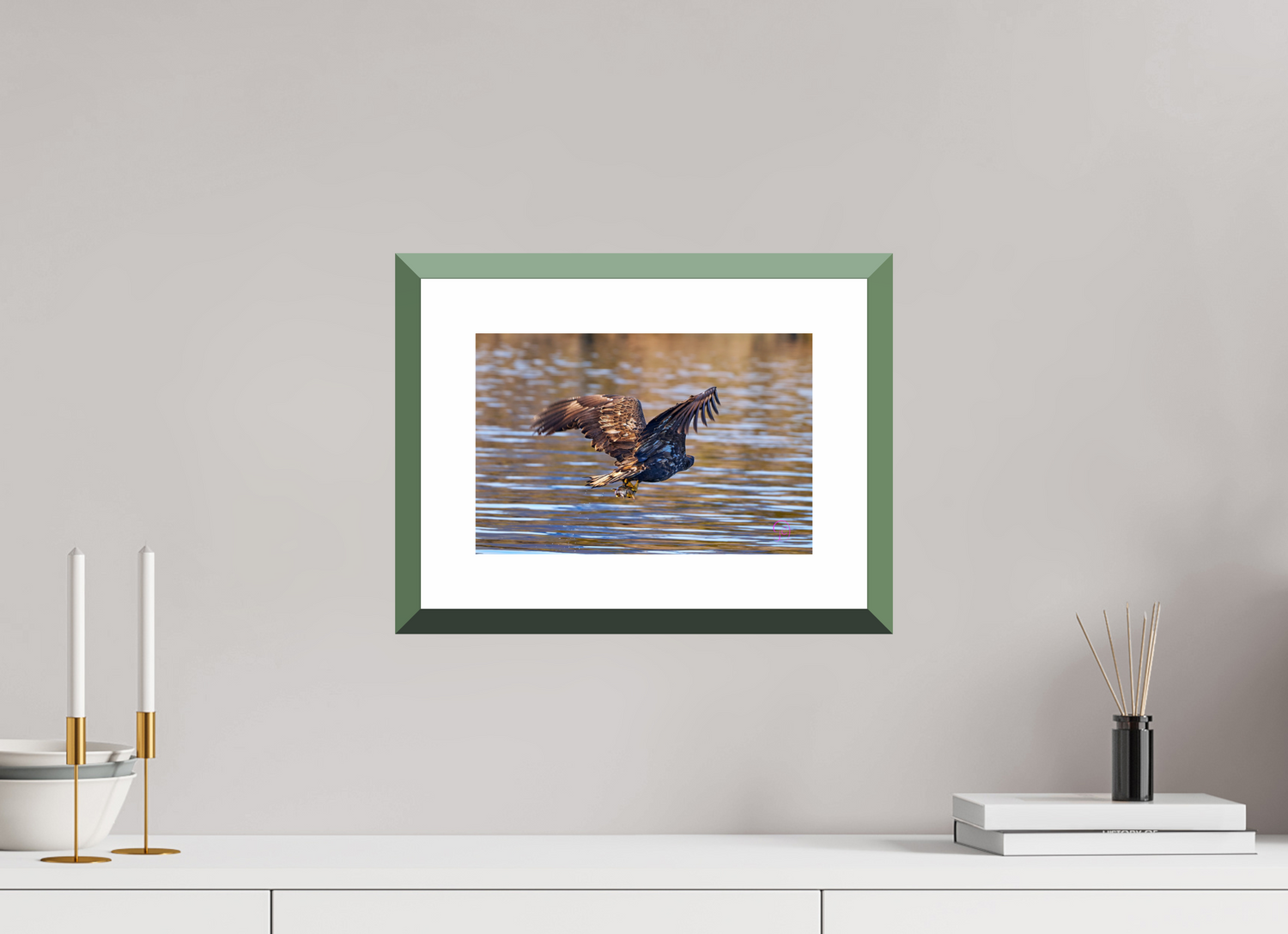 30 x 20 cm, Alu dibond, Rahmen grün, 5cm weissrand Sea Eagle 1