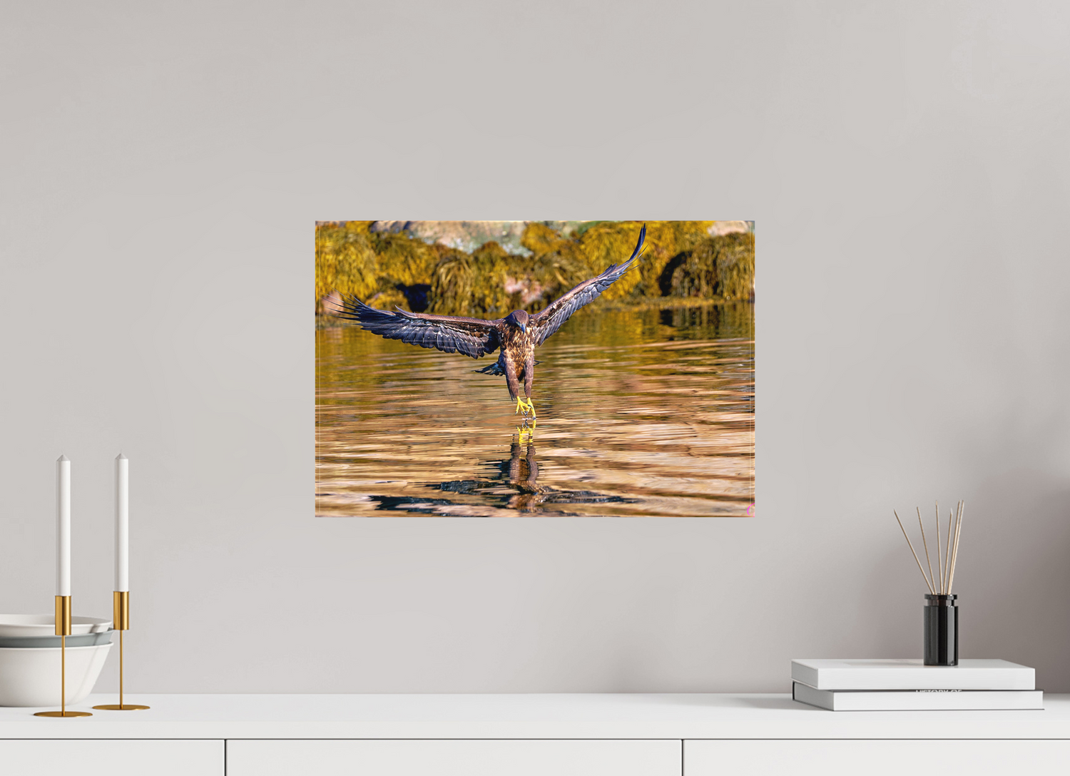 45 x 30 cm, Leinwand Textil Sea Eagle 2