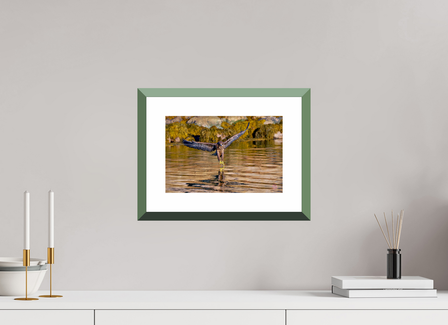 30 x 20 cm, Alu dibond, Rahmen grün, 5cm weissrand Sea Eagle 2