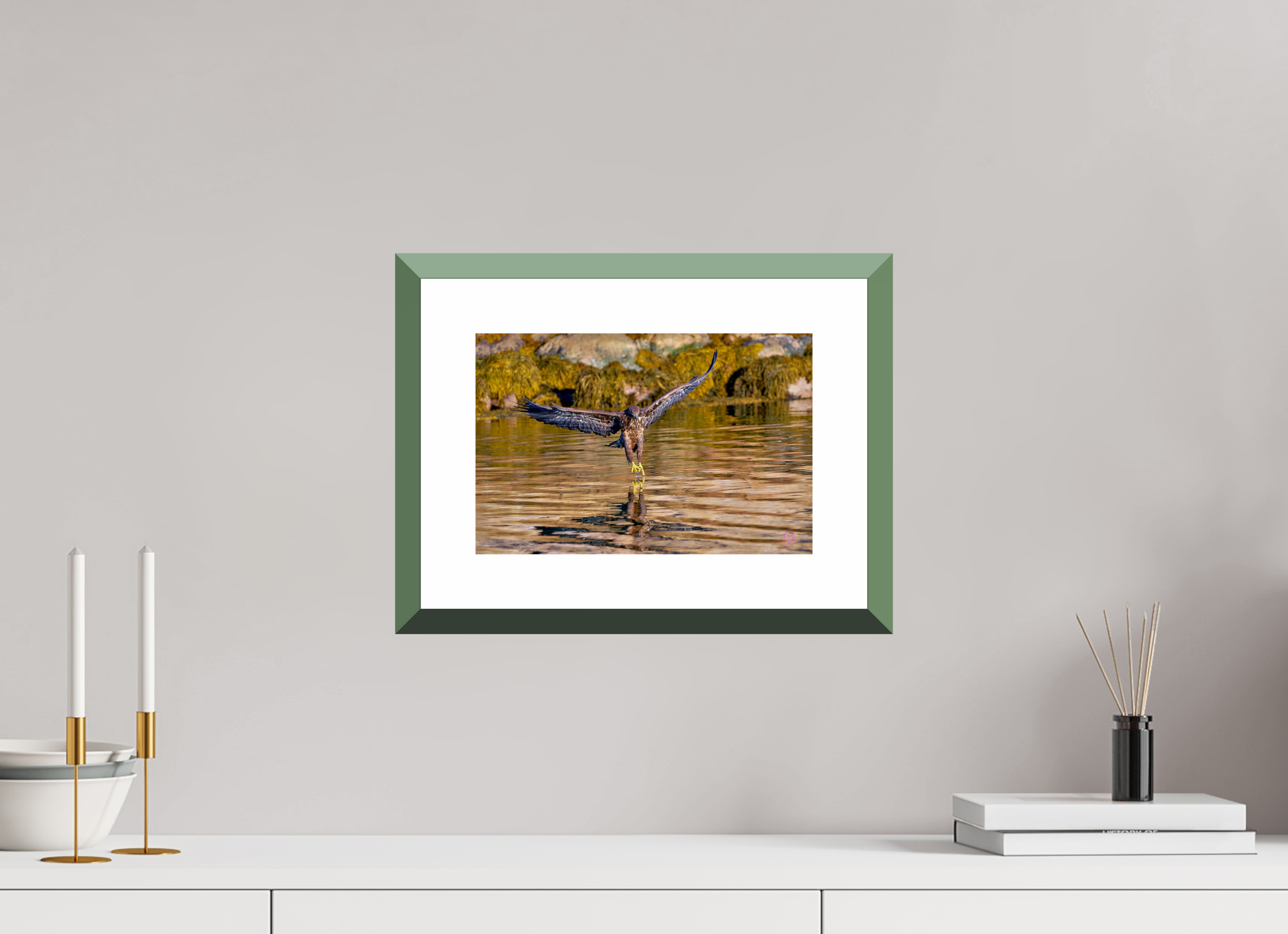 30 x 20 cm, Alu dibond, Rahmen grün, 5cm weissrand Sea Eagle 2