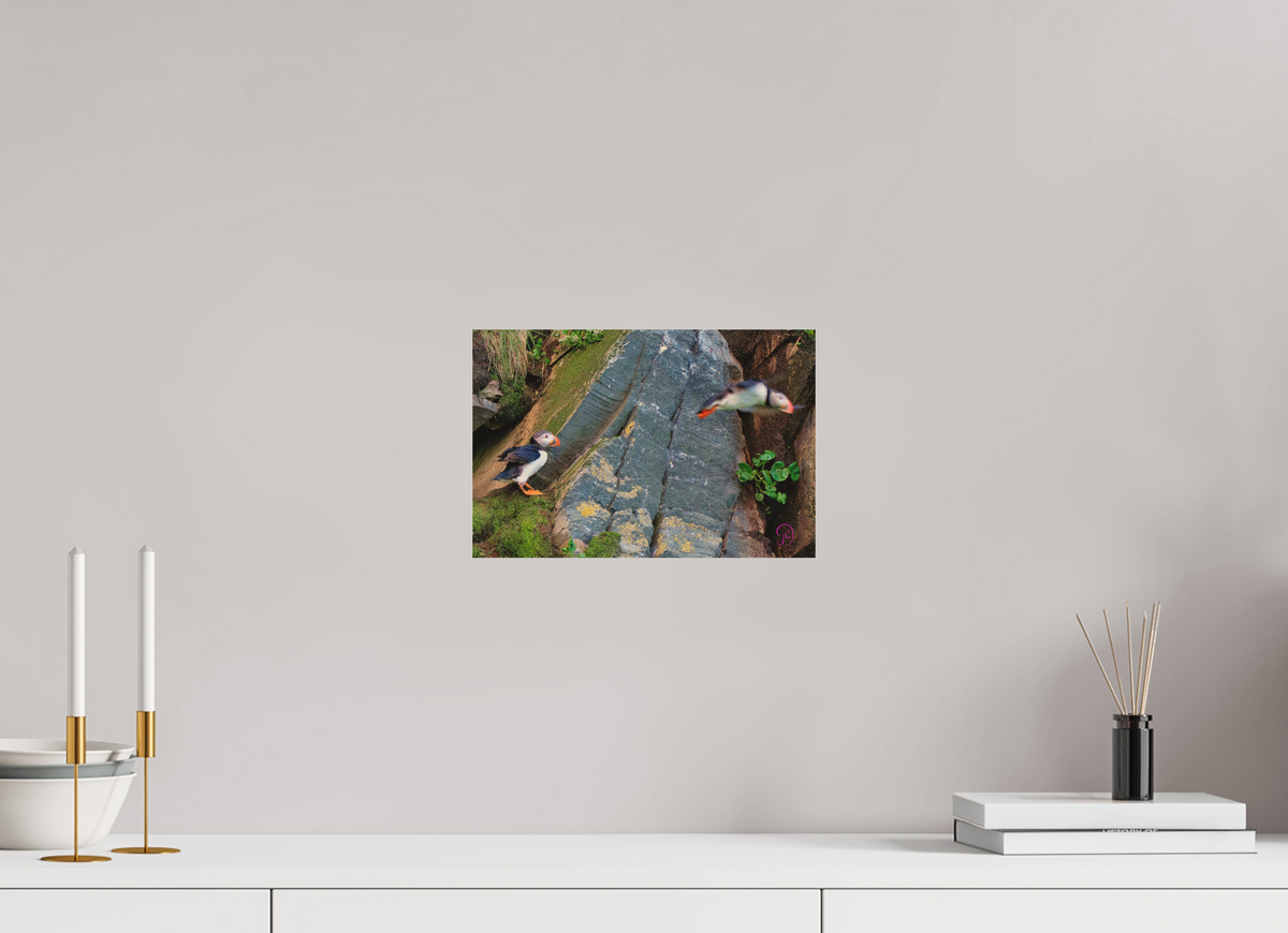 30 x 20 cm, Druck auf Holz Puffin 10