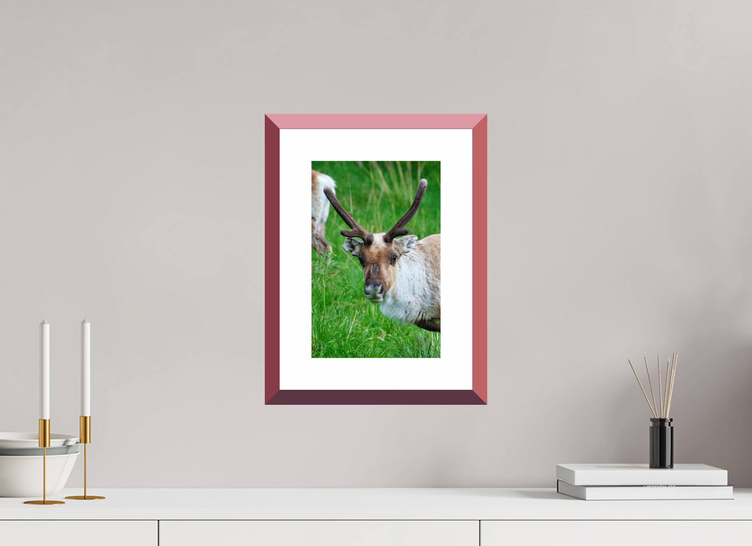 20 x 30 cm, Alu Dibond, Rahmen Rot, 5cm Weissrand Reindeer 3