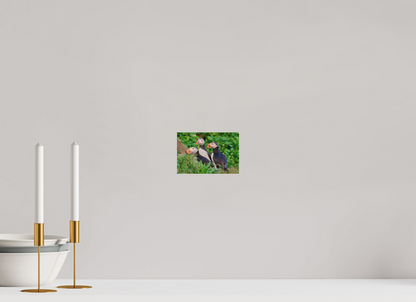 15 x 10 cm, Druck auf Holz Puffins 3