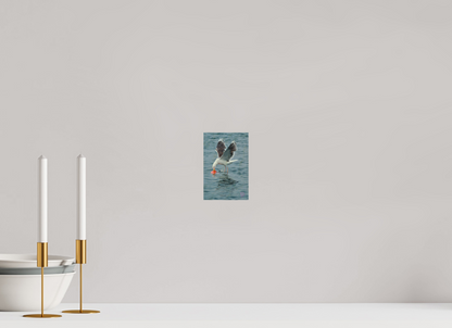 10 x 15 cm, Druck auf Holz Seagull 2