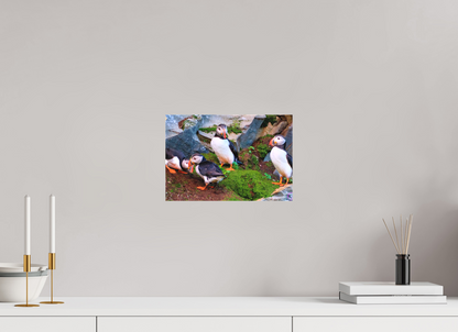 30 x 20 cm, Leinwand Textil Puffin 9