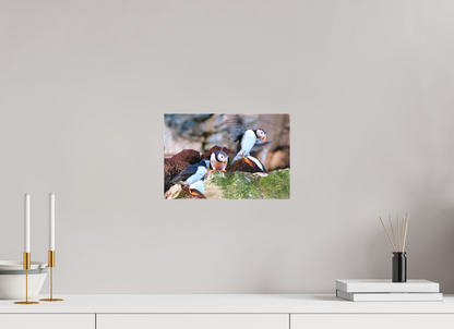 30 x 20 cm, Leinwand Textil Puffin 5