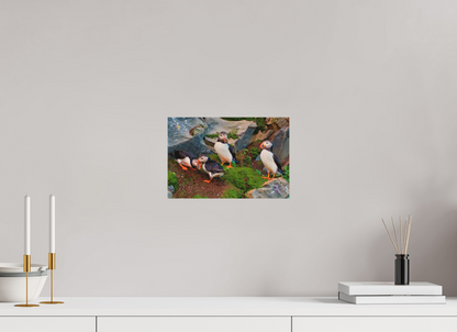 30 x 20 cm, Druck auf Holz Puffin 9